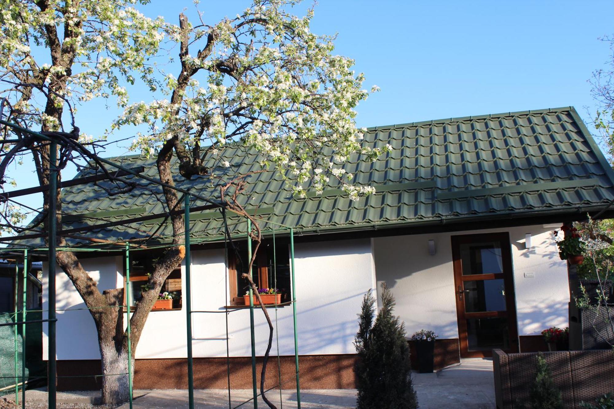 Villa Casuta Artistilor Breaza  Exterior foto